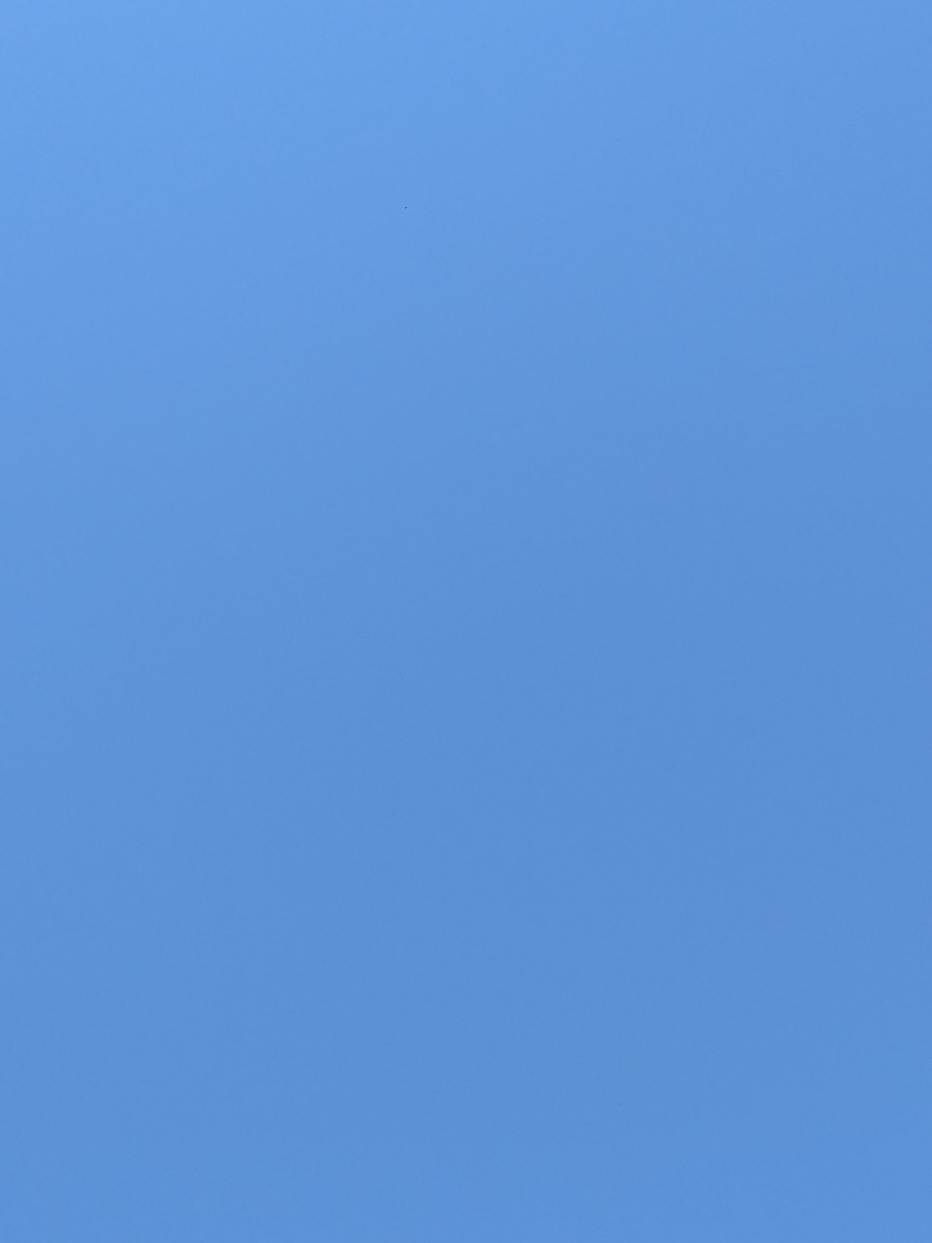 PXL_20240802_144253558.MP